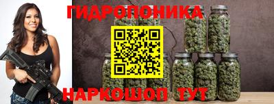 альфа пвп Аргун