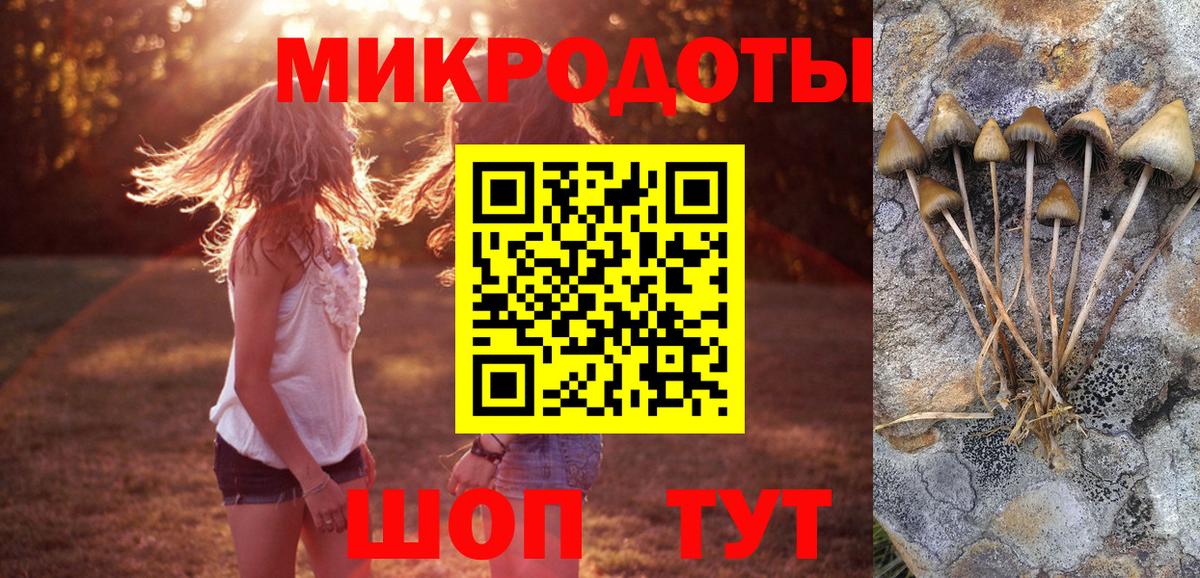 Псилоцибиновые грибы Cubensis  сколько стоит  Верхняя Пышма  Вход с VPN 